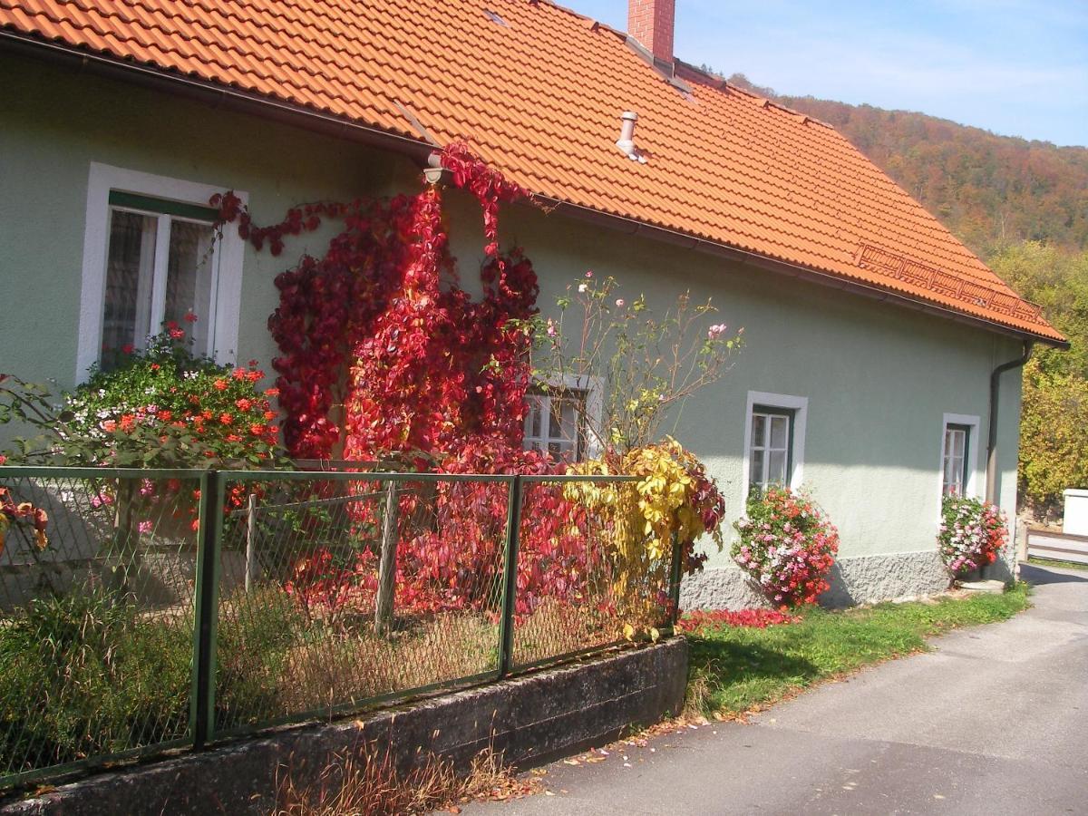 Aggsbach Haus Gerstbauer 아파트 외부 사진